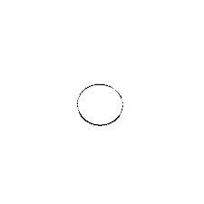 Oring