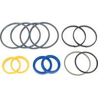 Zestaw uszcz. siłownika