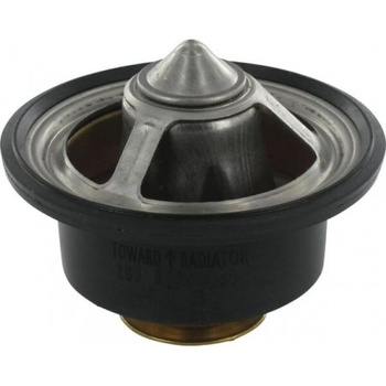 Teromostat
