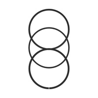 Zestaw pierścieni tłoka