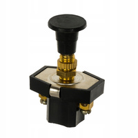 WYŁĄCZNIK WYCIĄGANY LAMPY ROBOCZEJ 5062