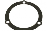 USZCZELKA PRZEKŁADNI ZWOLNICY C-385 ZETOR 87175025