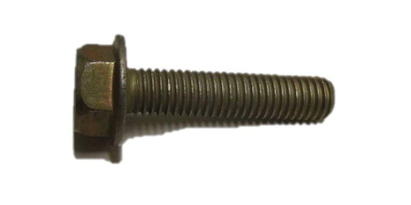 Śruba
