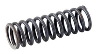 Sprężyna ściskowa 5089030030