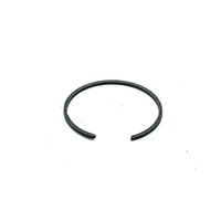 Pierścień sprężysty