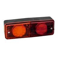 LAMPA TYLNA ZESPOLONA