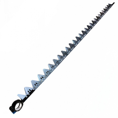 Kosa