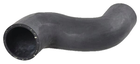 Wąż