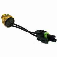 Czujnik Zimnego Startu 